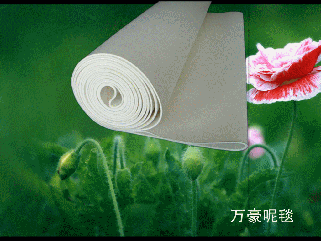 中国高温呢毯带 中国高温呢毯带规格 中国高温呢毯带厂家