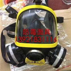 业安全面罩防毒面具|东方船舶