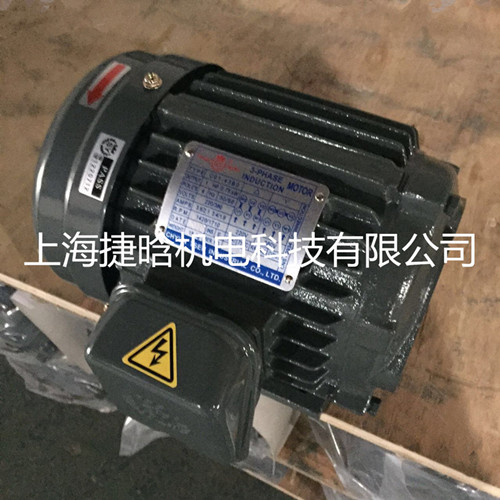 台湾S.Y群策C02-63B0 2HP-6P内插式1.5KW液压电机