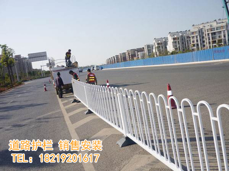 阜阳道路护栏→18219201617道路护栏厂家