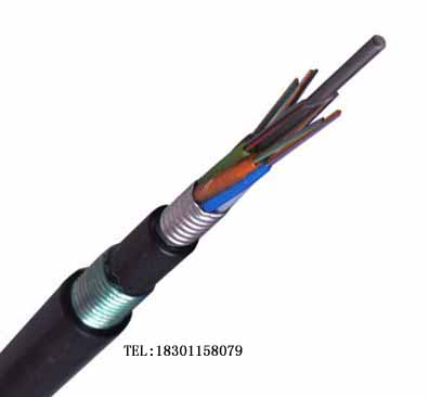 光缆GYFTA53-96B1价格