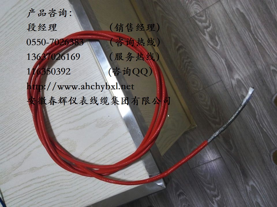 高温计算机电缆DJFP1FP1-22必亮春辉牌/北京RTD电缆
