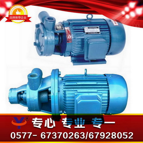 1W单级旋涡泵，英科单级旋涡泵，单级旋涡泵报价