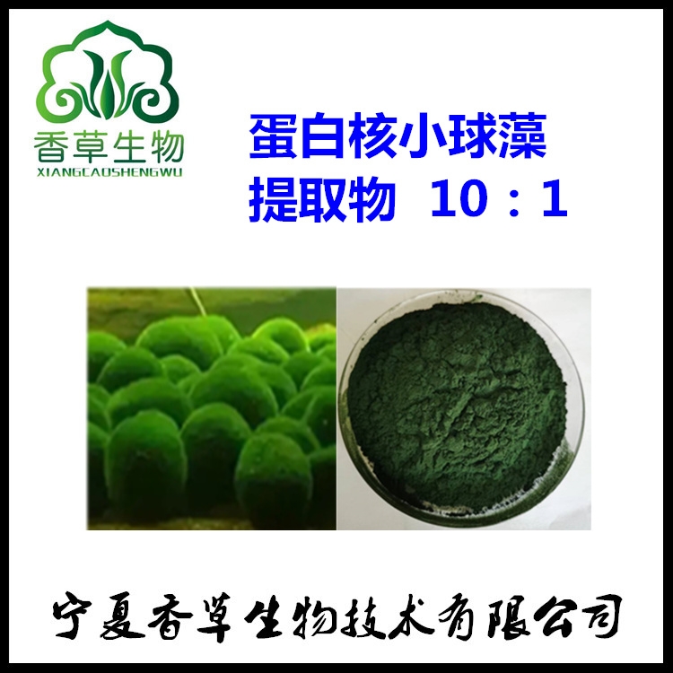 蛋白核小球藻提取物10:1 蛋白核小球藻冻干粉 蛋白核小球藻多糖