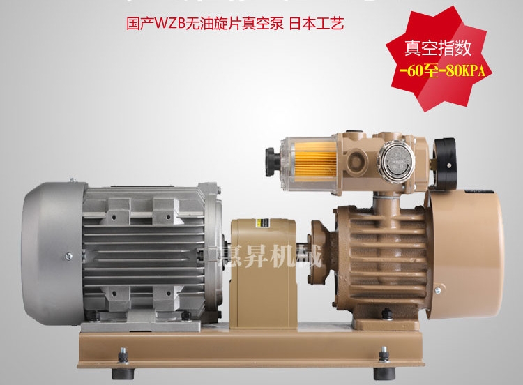 WZB40-P-V220V晒版机风泵，印刷机风泵，照排机风泵