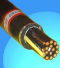 矿用防爆电缆MKVVR12*1.5矿用防爆控制电缆