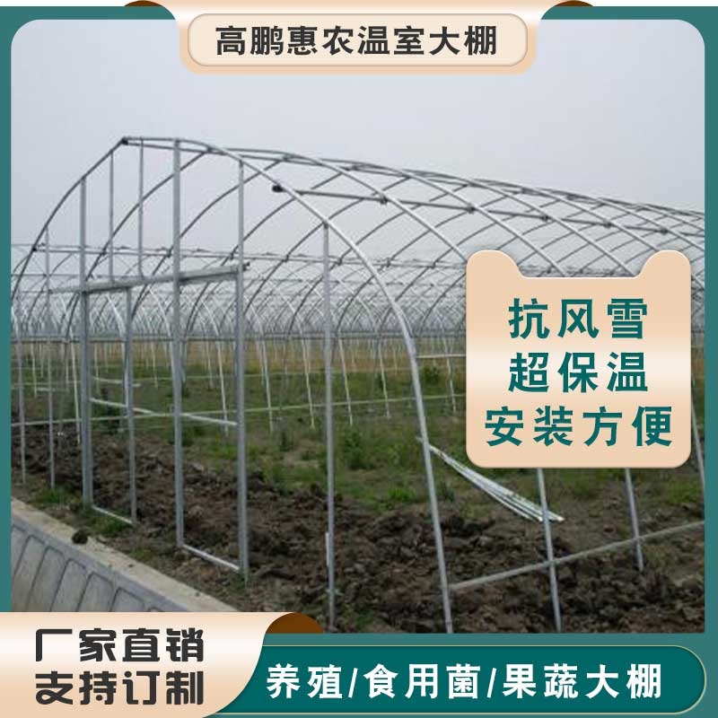 郑州惠济区鲻鱼水产温室大棚