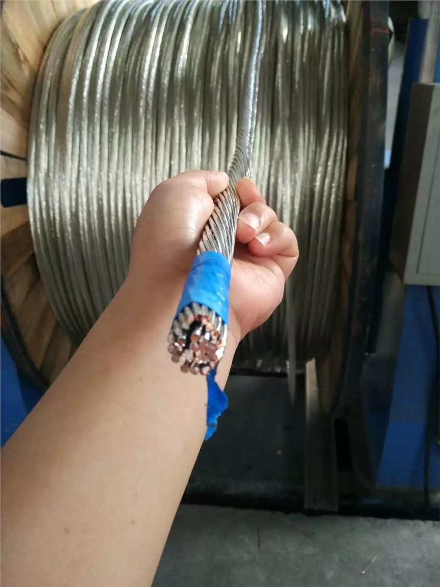 TJX接地150²铜绞线 硬态铜绞线 加工切割 辰昌盛通