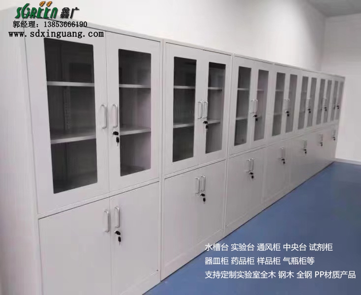 山东鑫广药品柜 实验室设备 多功能柜样品柜可定制