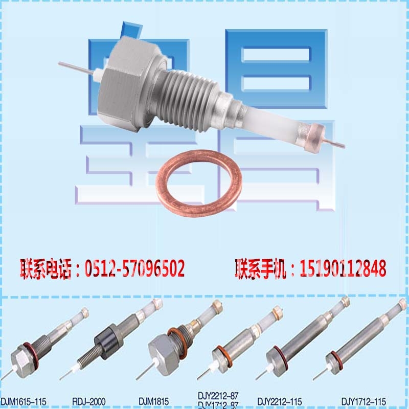 锅炉测量筒水位电极广东湛江水位电极规格M18×1.5×115mm