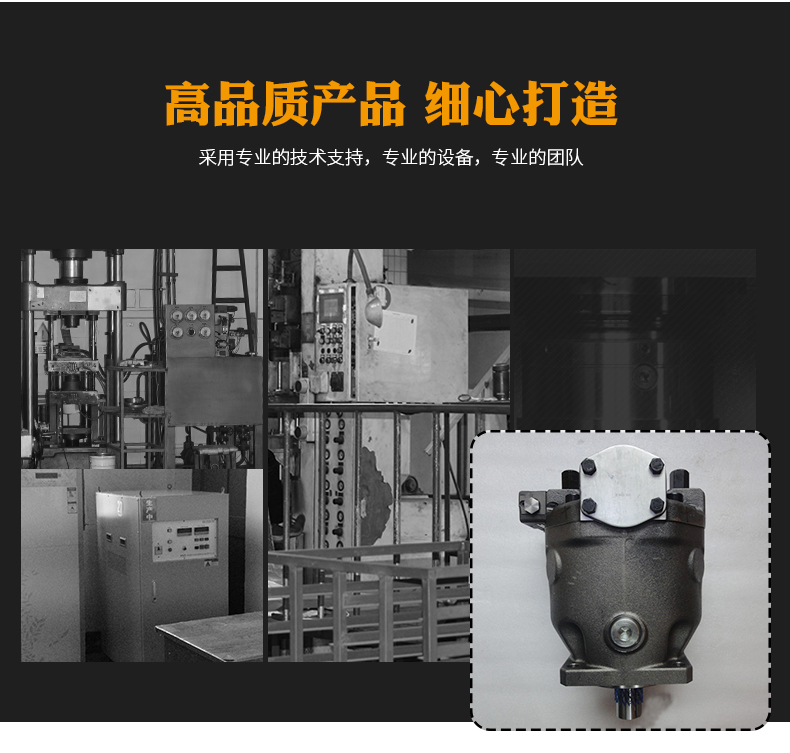 M5100-F100齿轮泵厂家卓越服务