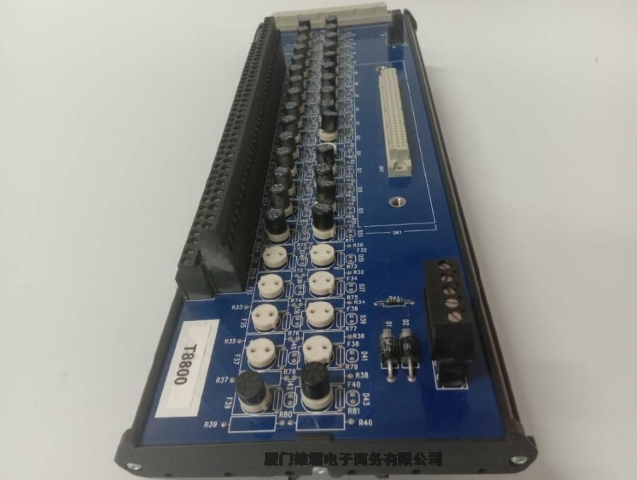 ICSTRIPLEX T8131C 模块卡件进口备件